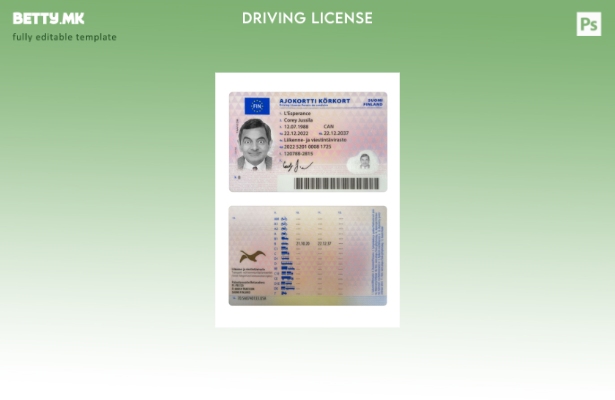 Модерен стил Финска возачка дозвола присутен шаблон 1